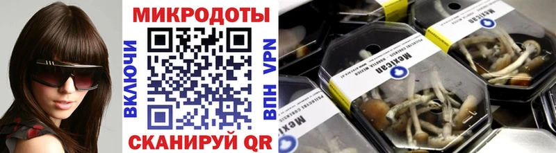 Псилоцибиновые грибы GOLDEN TEACHER  blacksprut зеркало  Кинель 
