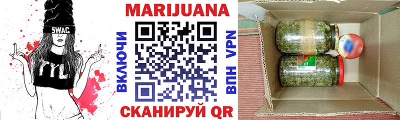 Каннабис сатива  Кинель 